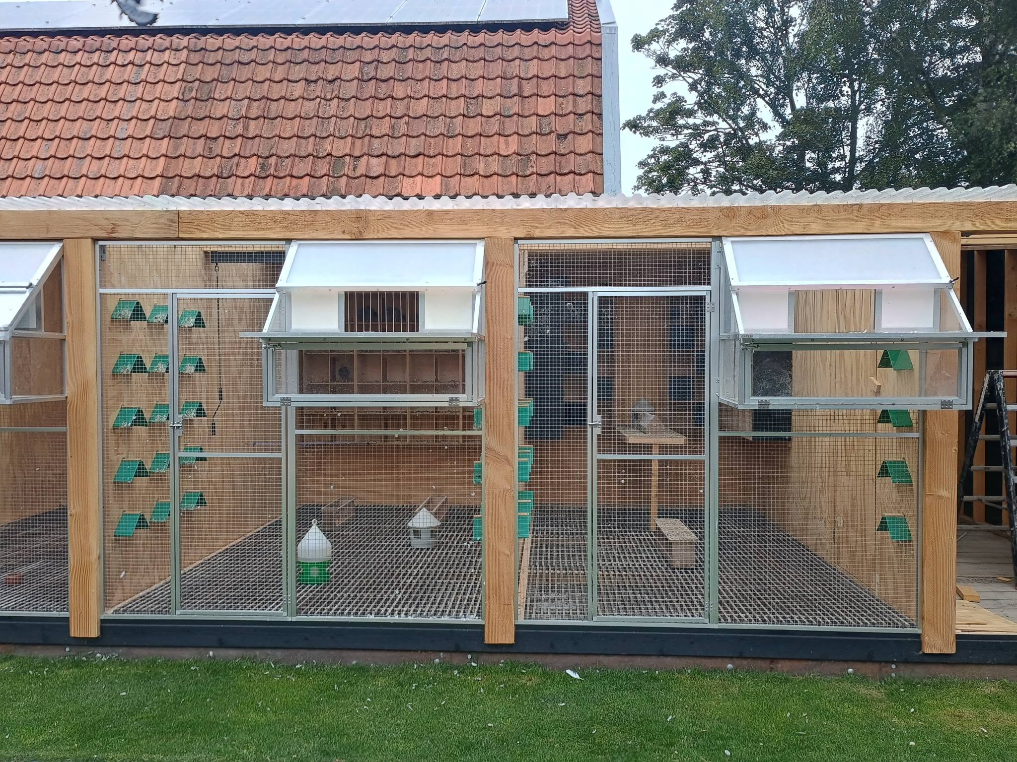 Vooraanzicht van ons duivenhok met de invliegkleppen en zitplaatsen